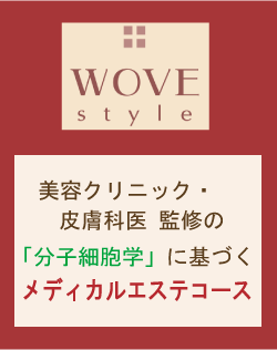 wove styleのロ ゴ